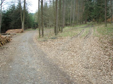 Foto 30